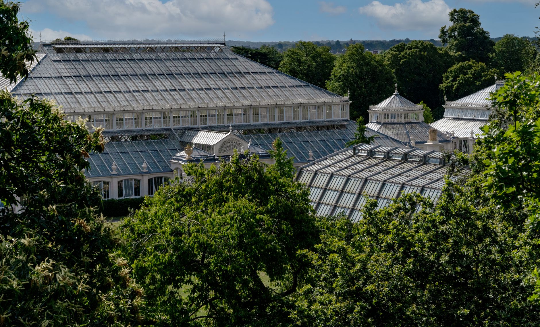 Skleníky v Kew Gardens pohledem ze stromů