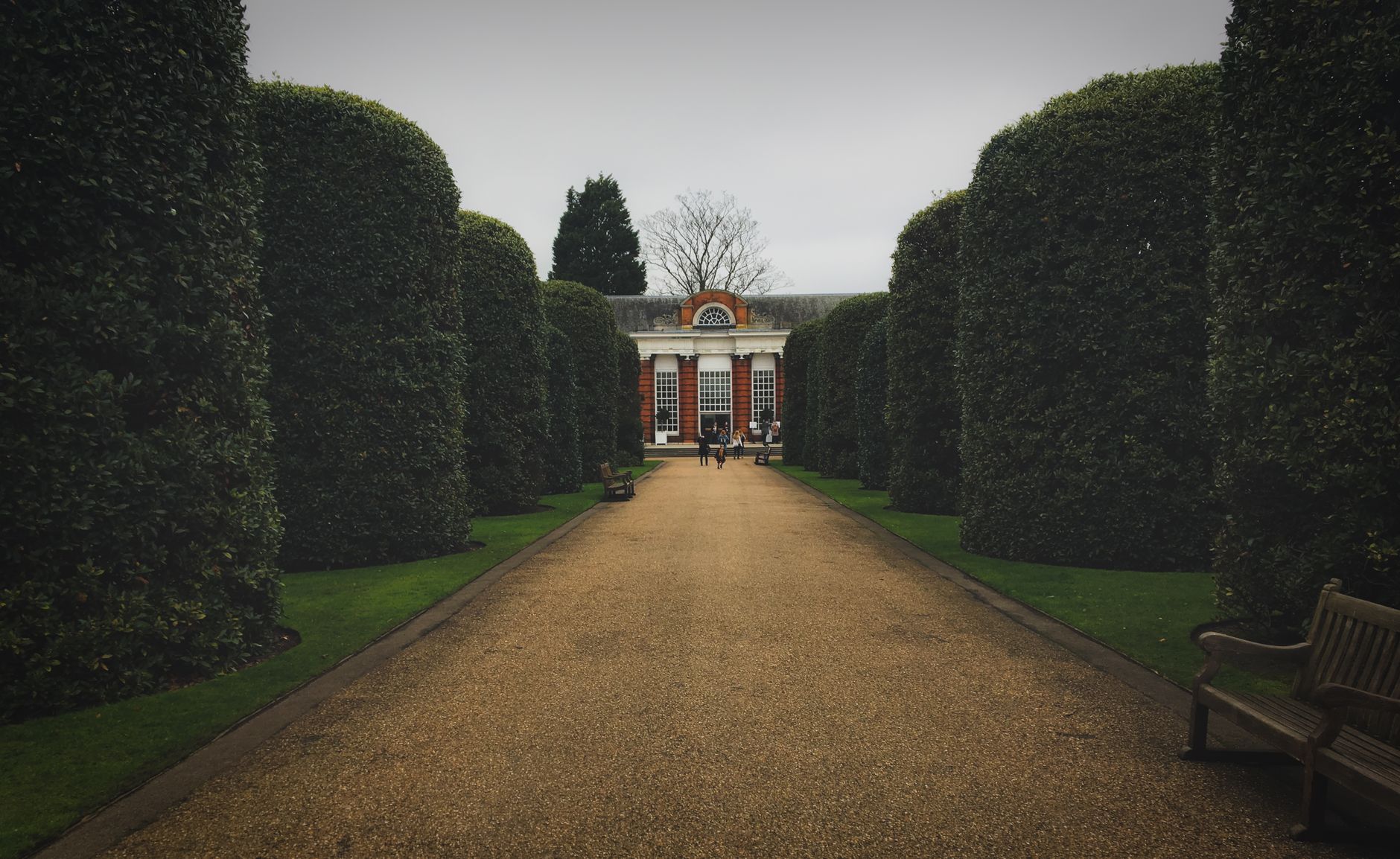 Sti i Kew Gardens kantet af hække