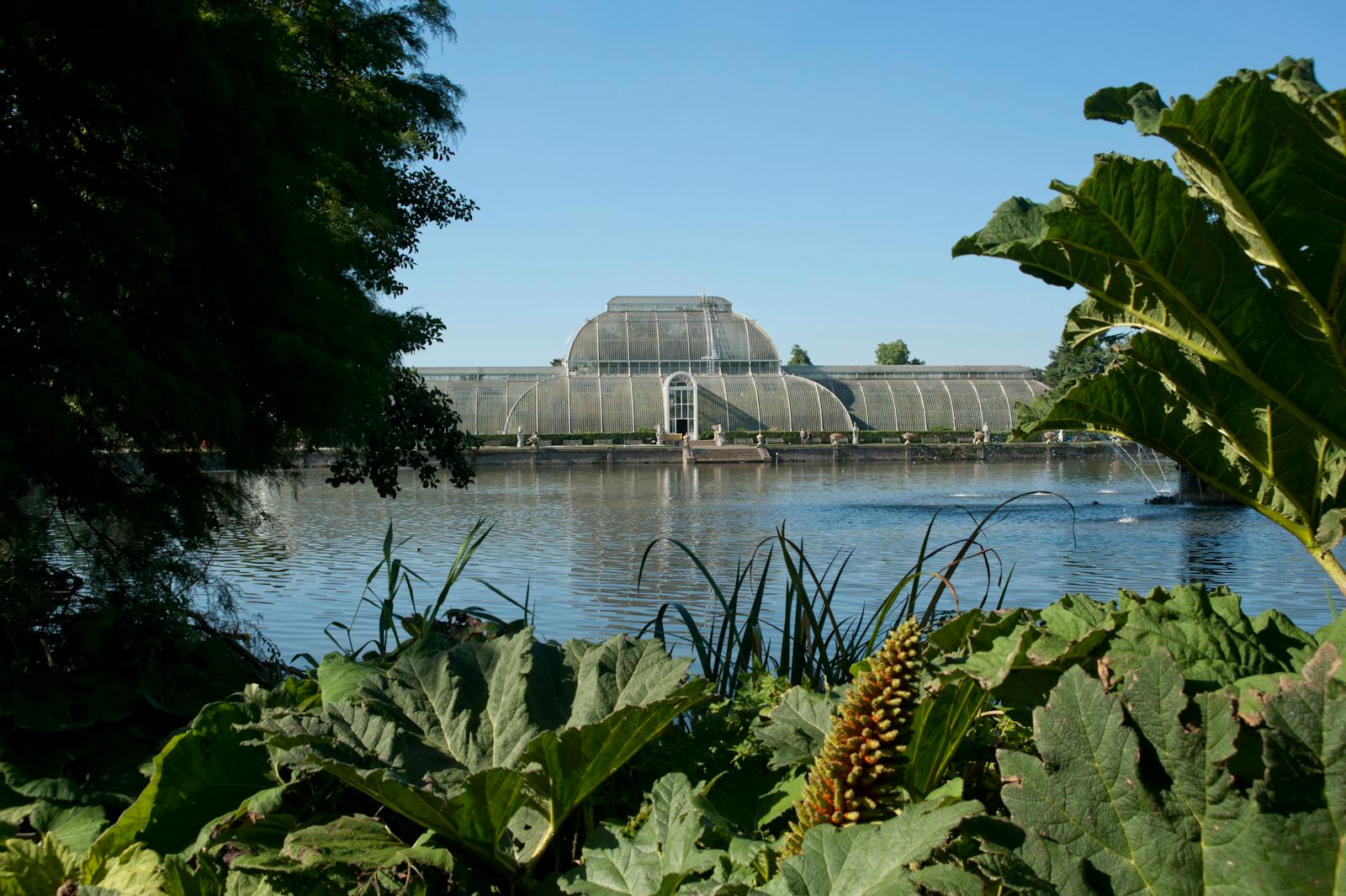 Serra di Kew Gardens vista dal lago