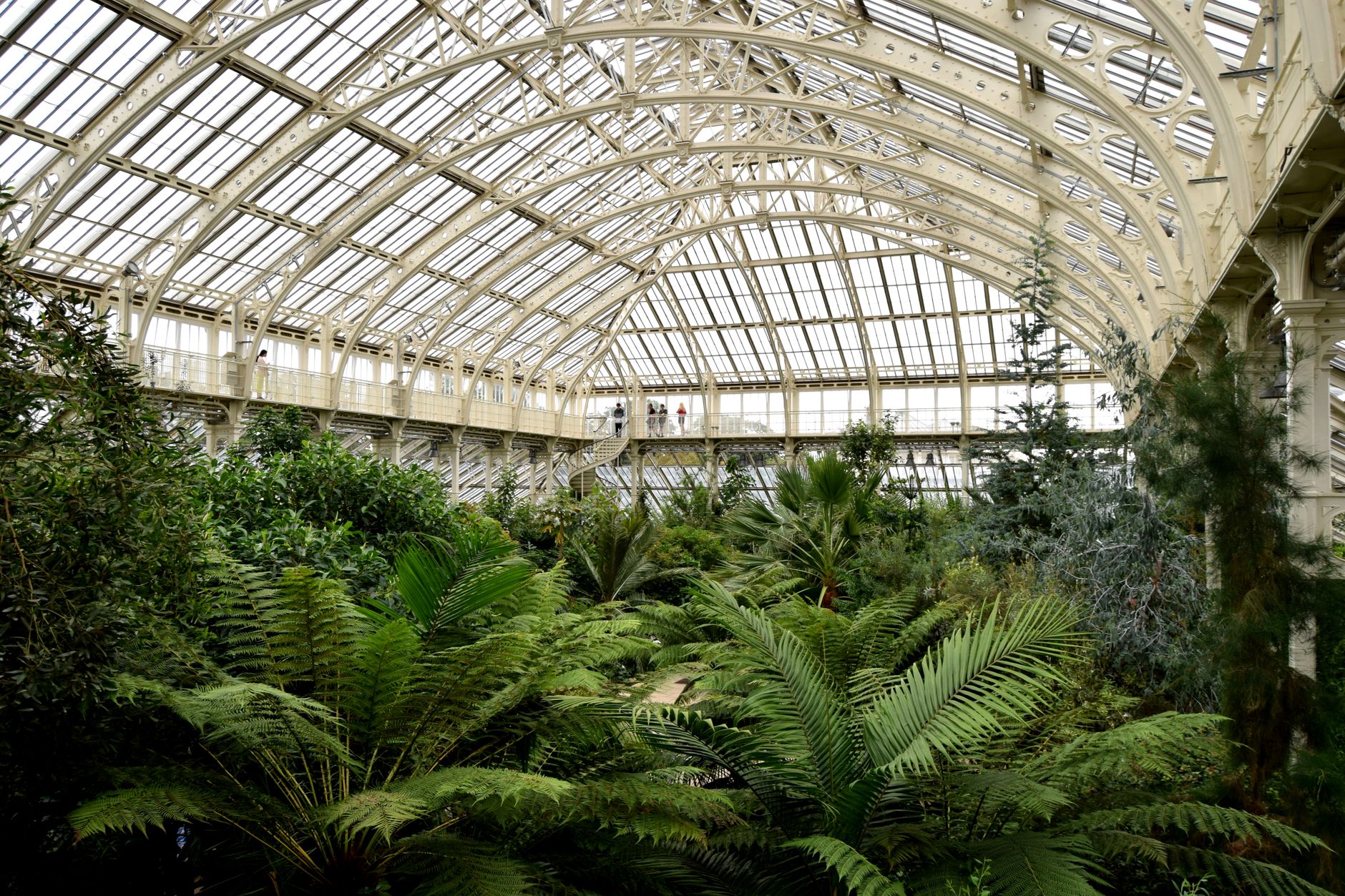 Interiörvy av Kew Gardens tropiska växthus