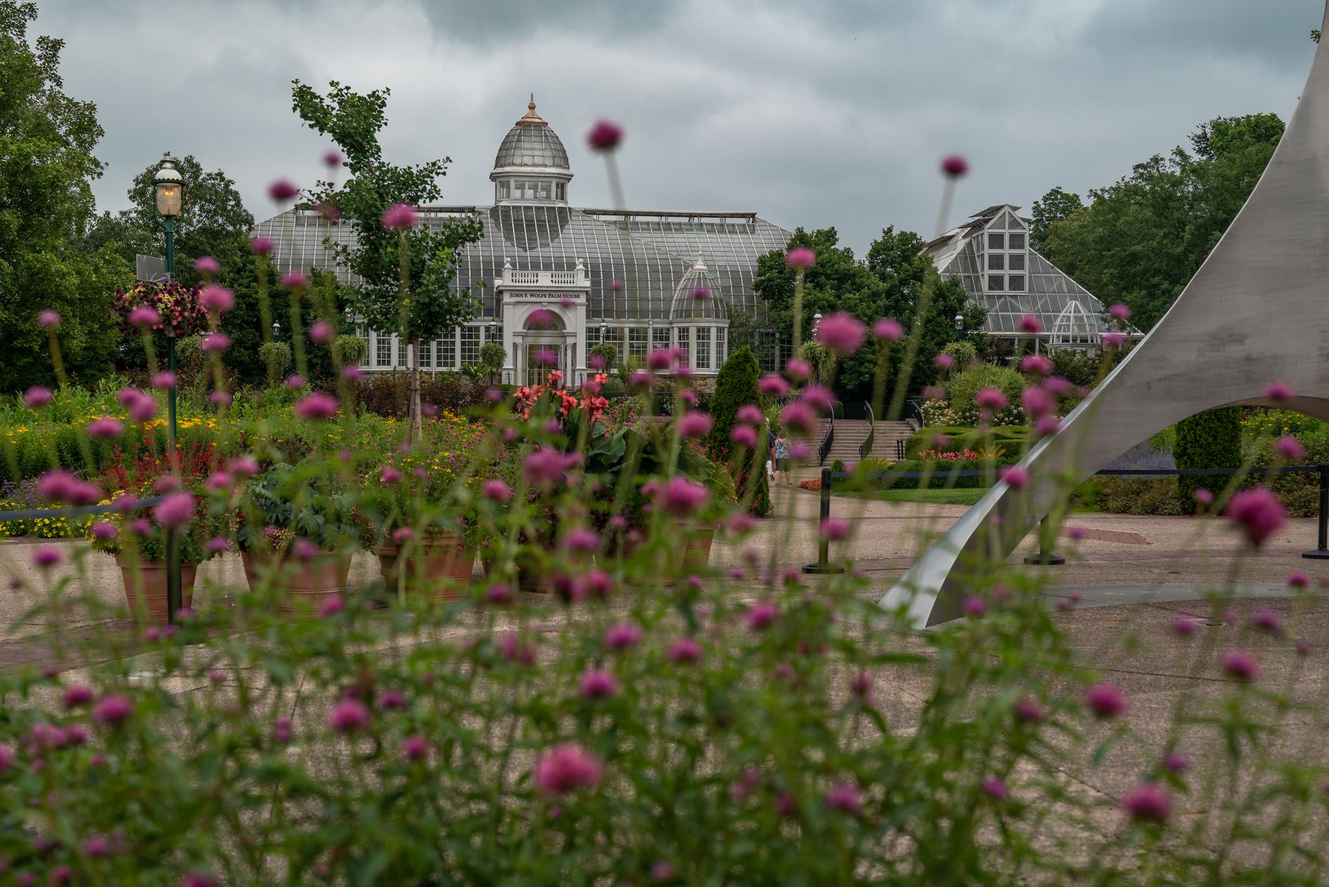 透过花朵看到的Kew Gardens温室