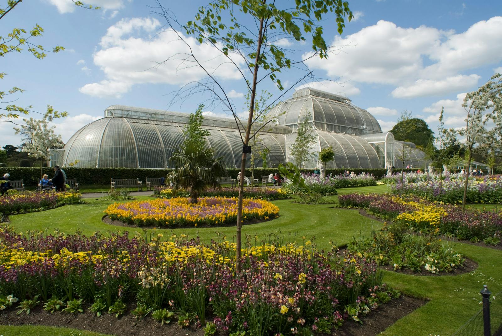 蓝天下的Kew Gardens温室